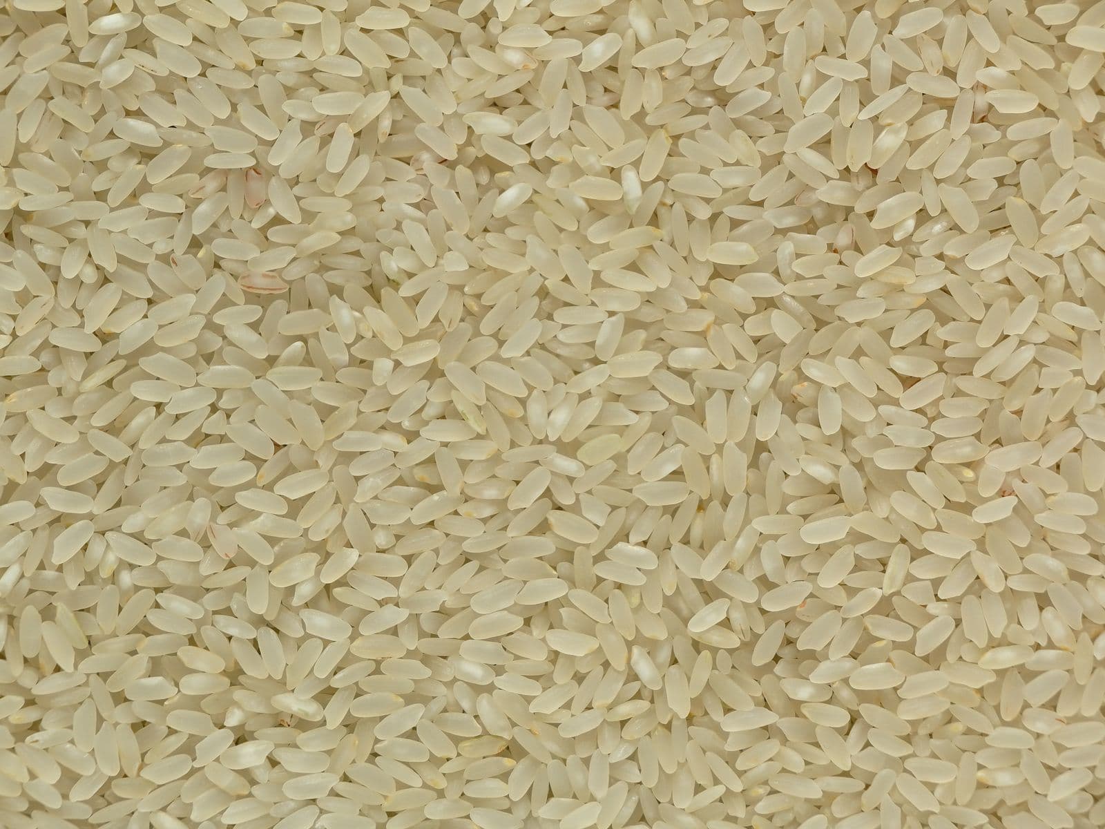 Translucent long-grain white rice, close up.