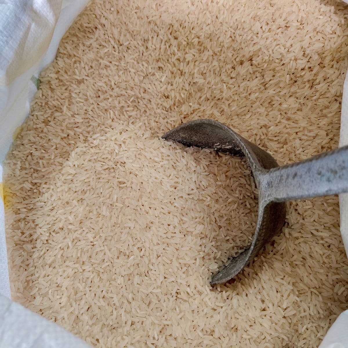 A metal scoop resting in an open woven polypropylene sack of rice.