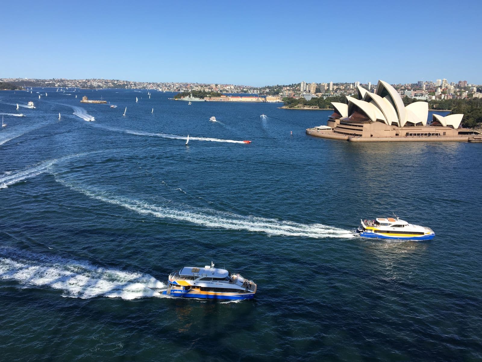 Sydney Harbour with the Opera House and ferries from above.